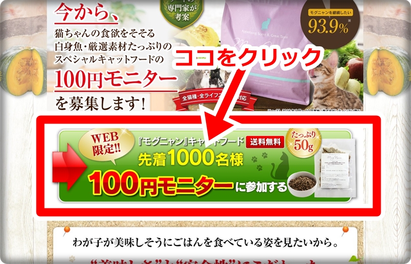 モグニャンの100円モニターの申込方法