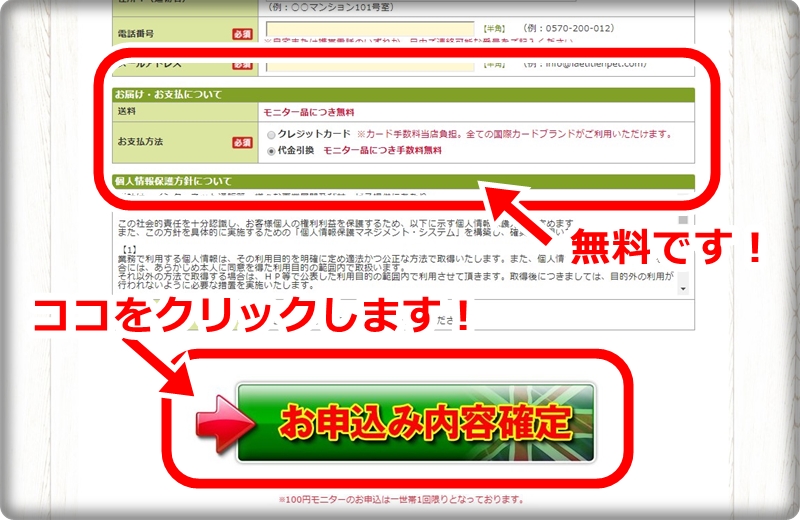モグニャン100円モニターの申込内容全て記入してクリックします